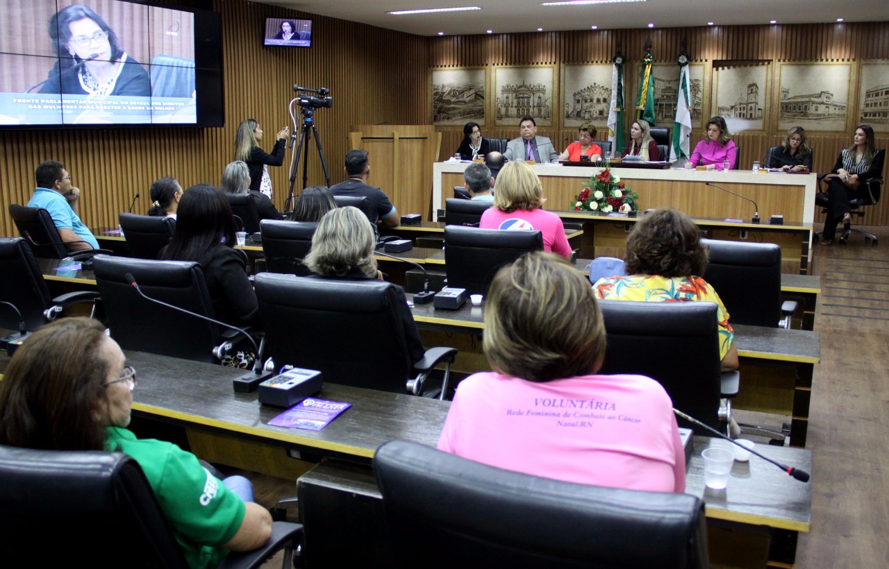 Audiência apresentou dados e estatísticas que servirão para a atuação do Núcleo de Defesa da Saúde