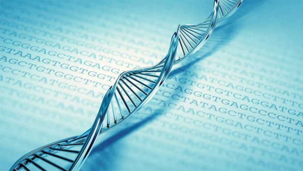 A decisão atende a pedido de tutela provisória de urgência em ação impetrada pelo Núcleo de Tutelas Coletivas da Defensoria Pública do Estado do Rio Grande do Norte (DPE/RN) em Parnamirim