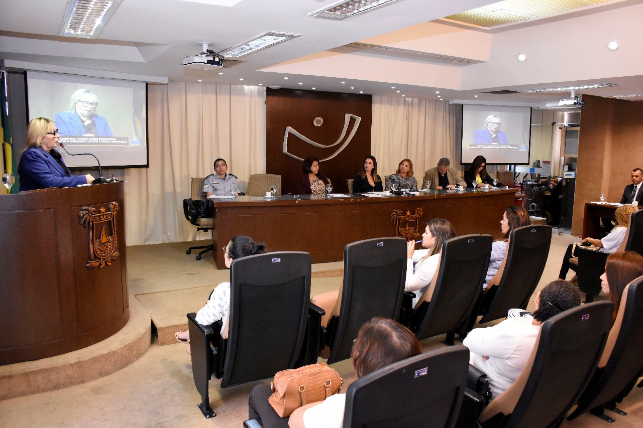 DPE/RN debate feminicídios no Rio Grande do Norte em Audiência Pública Foto: João Gilberto