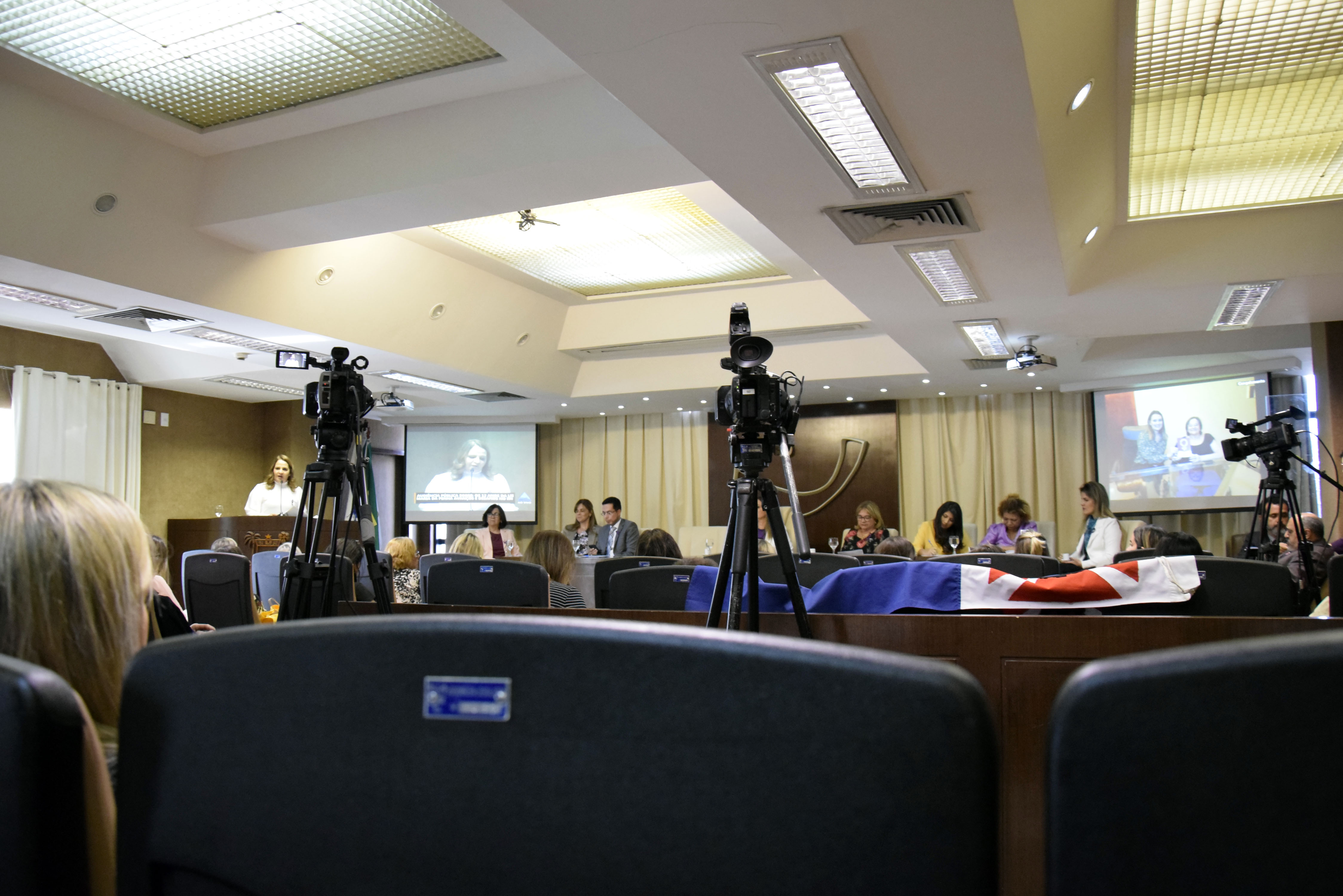 Defensoria Pública discute na ALRN desafios para cumprimento da Lei Maria da Penha