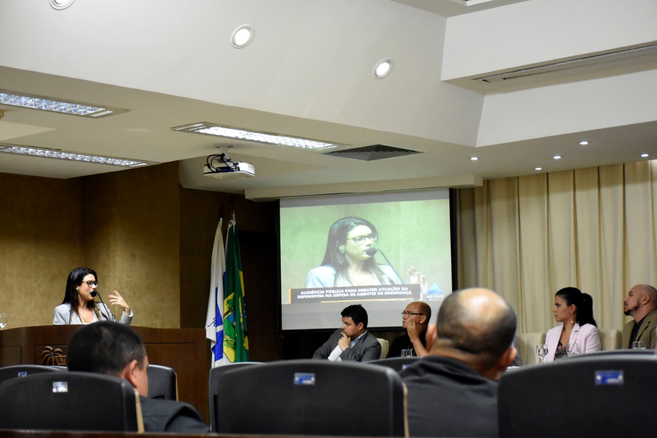 Em audiência, DPE/RN esclarece defesa jurídica para servidores da segurança pública Foto: Ney Douglas