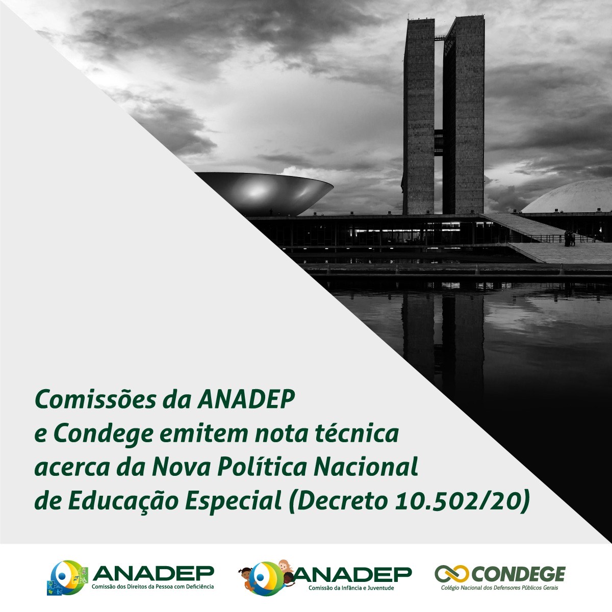 Comissões da ANADEP e Condege emitem nota técnica acerca da Nova Política Nacional de Educação Especial (Decreto 10.502/20)